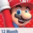 گیفت کارت 12 ماهه نینتندو Nintendo | خرید 12 ماهه گیفت کارت نینتندو